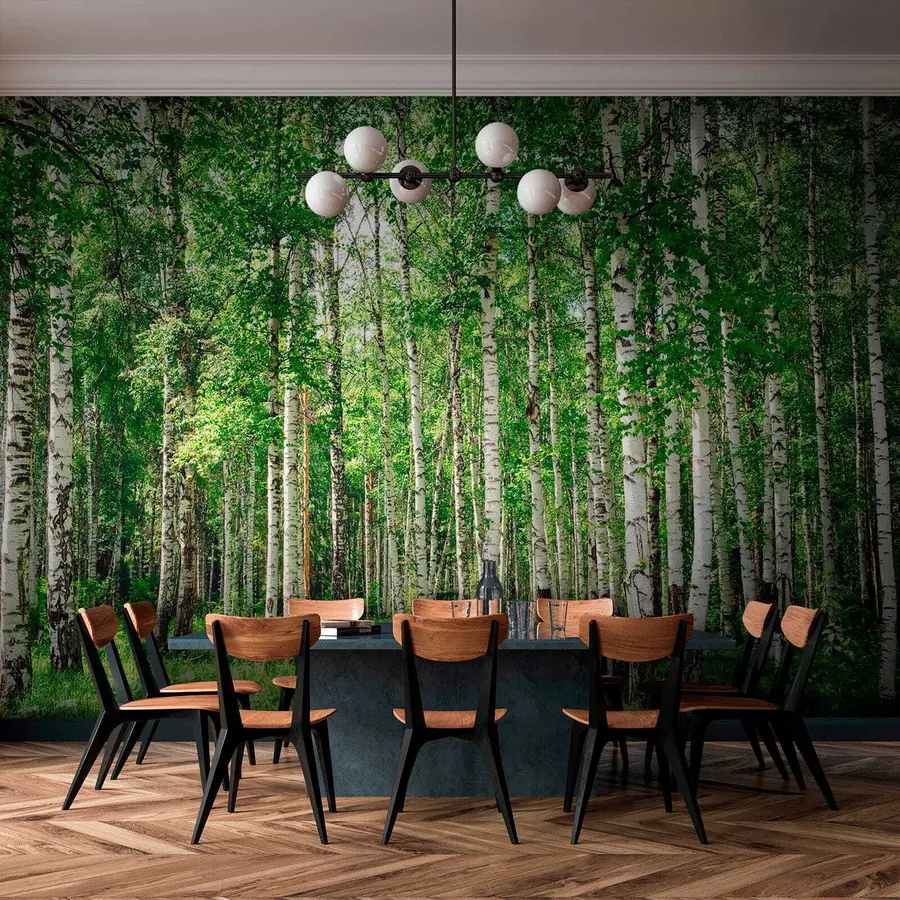 zidne murale Šuma breze u52530