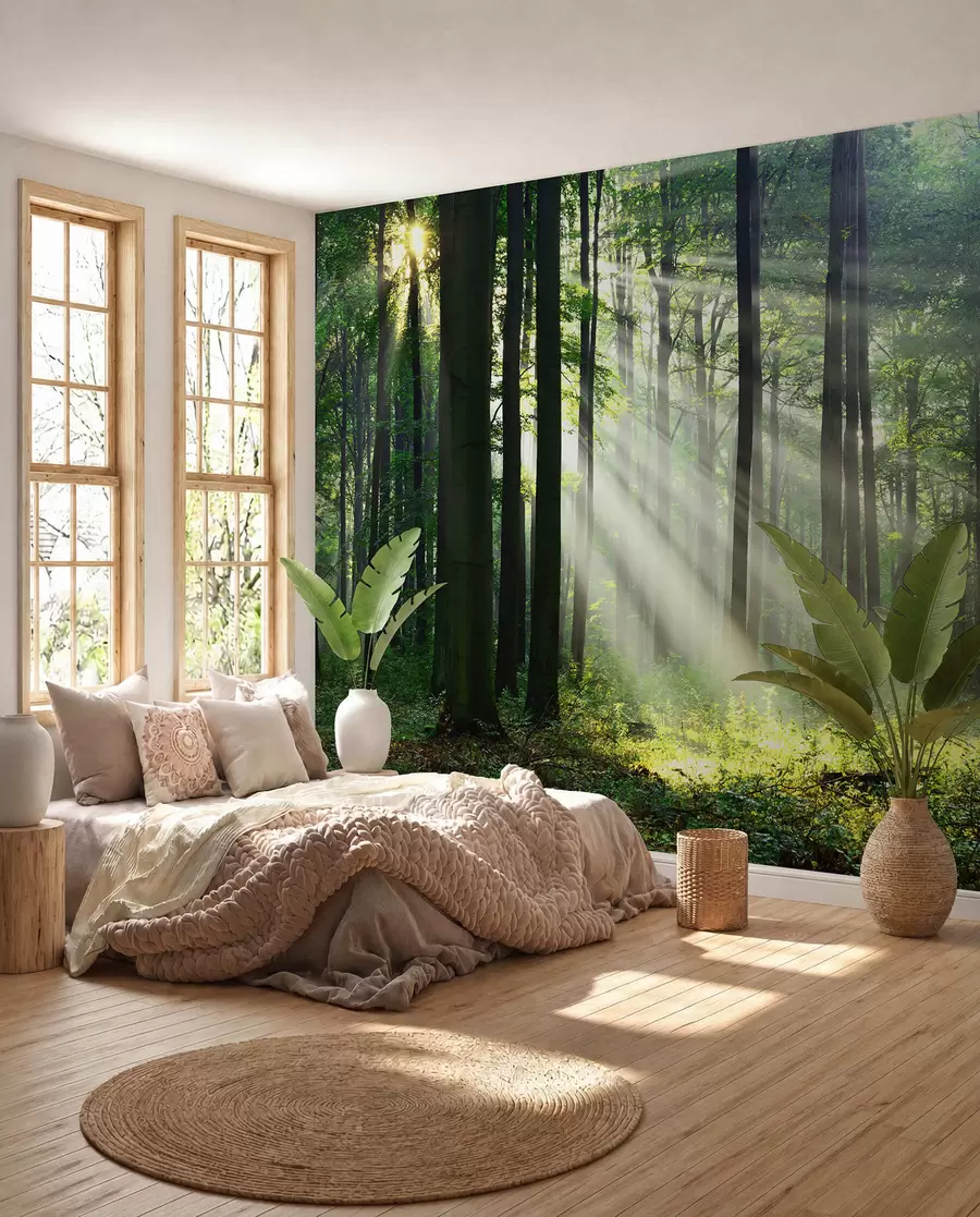 zidne murale Sunce među stablima u56787