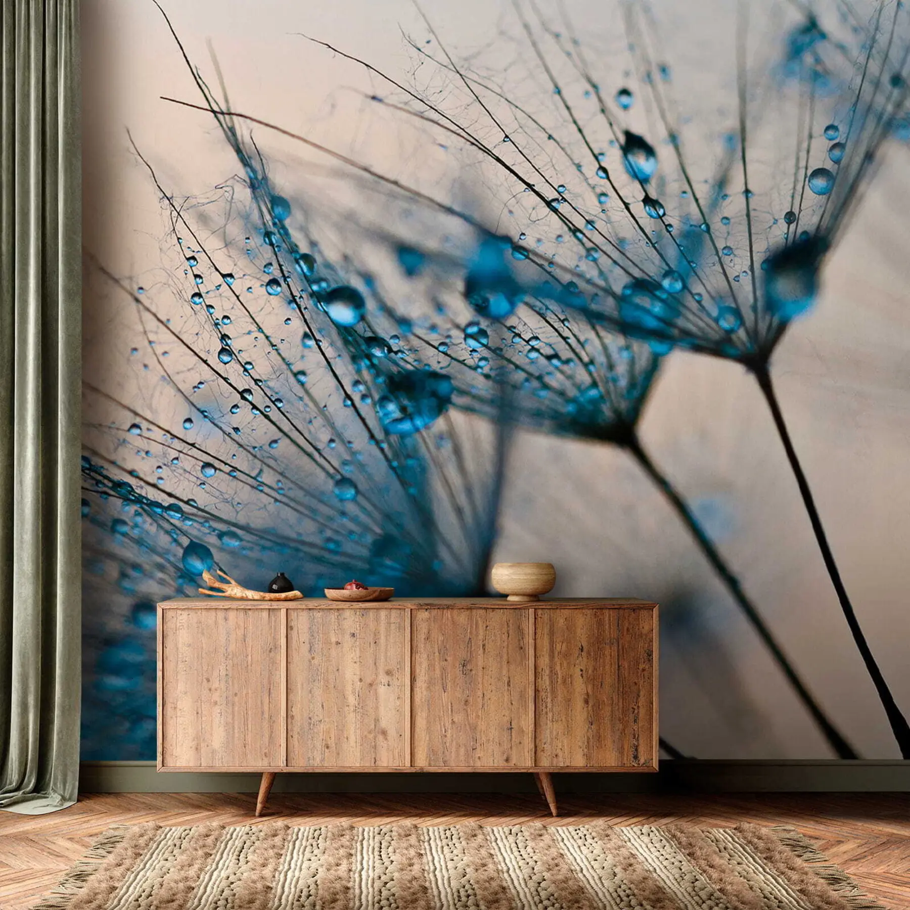 zidne murale Maslačak s kapljicama vode u57557