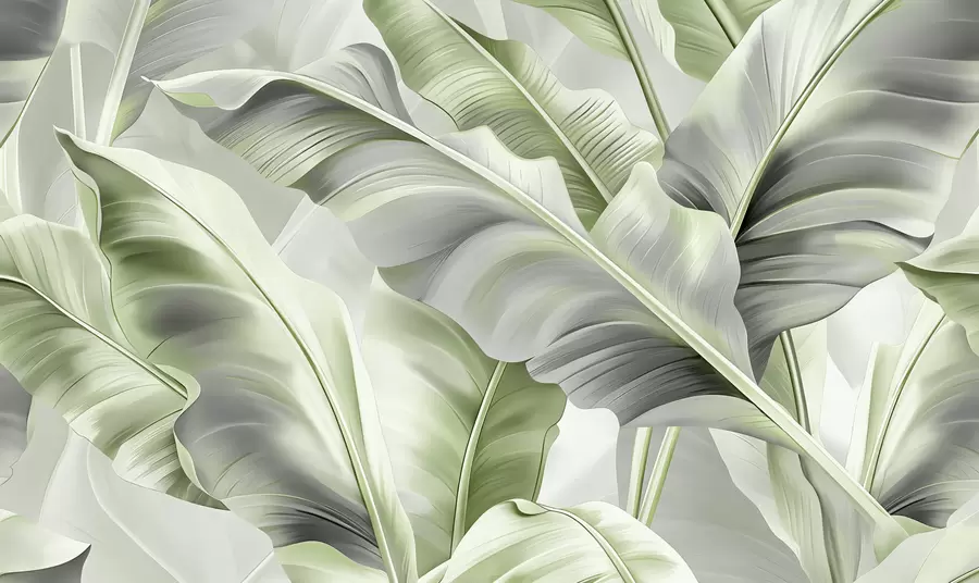 zidne murale luksuzni veliki listovi banane u sivo-zelenim tonovima w07876v3