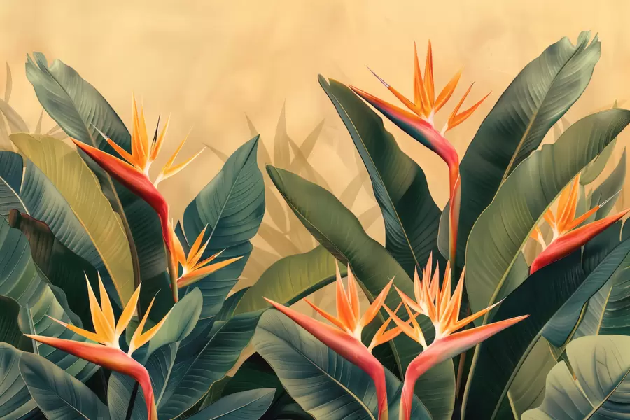 zidne murale Toplo tropsko cvjetanje w01484