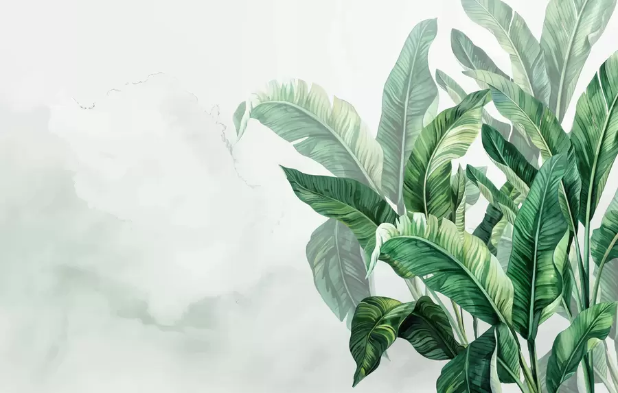 zidne murale Lišće banane, veliko lišće, zeleno lišće, tropsko lišće w01630