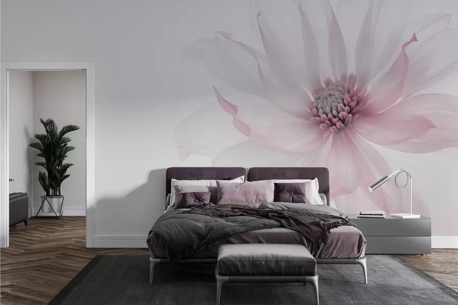 zidne murale Nježni ružičasti cvijet na svijetloj pozadini w02077v2