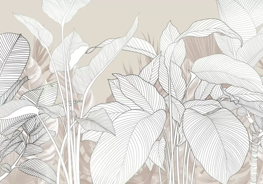 zidne murale Jednobojna ilustracija koja prikazuje veliko, stilizirano lišće i lišće sa zamršenim linijskim uzorcima i teksturama w08436v1