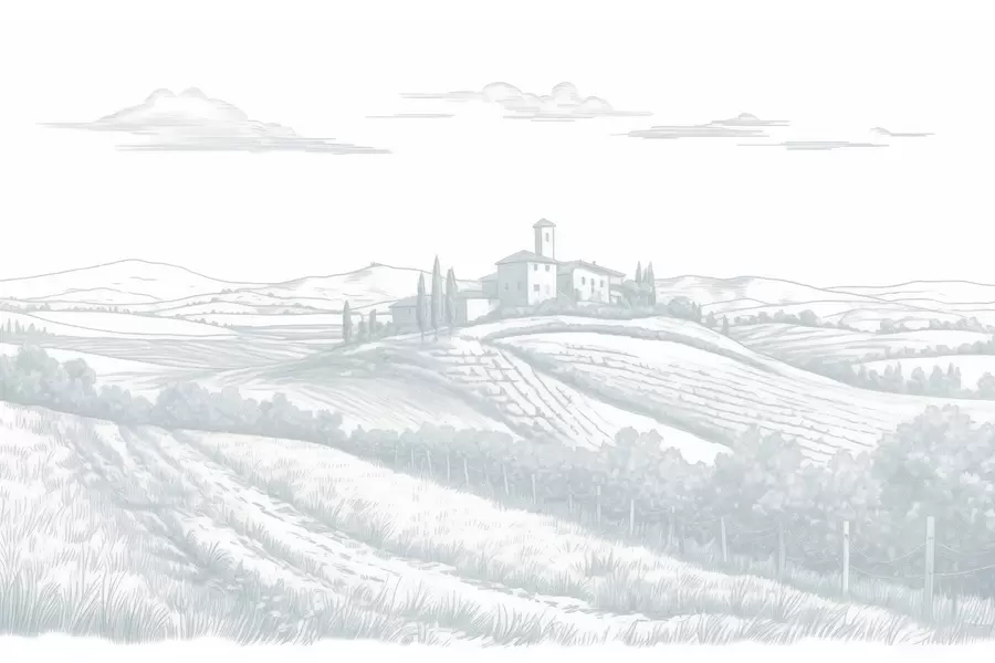 zidne murale Pejzaži Toskane, Italija, vinogradi, priroda, stari dvorac, plave boje w03349v1