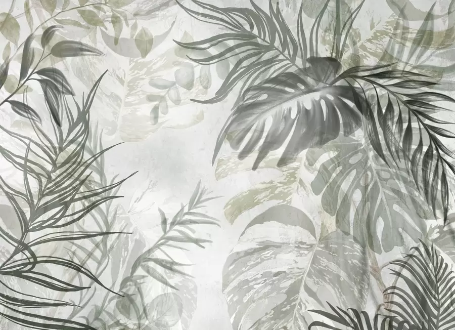 zidne murale Monstera i lišće palme u nijansama zelene i sive, botaničko, tropsko lišće, biljke iz džungle, teksturirana pozadina w09011