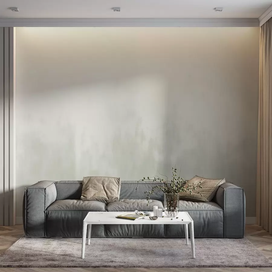 zidne murale Akvarelni gradijent u sivo-bež tonovima, minimalizam w04156