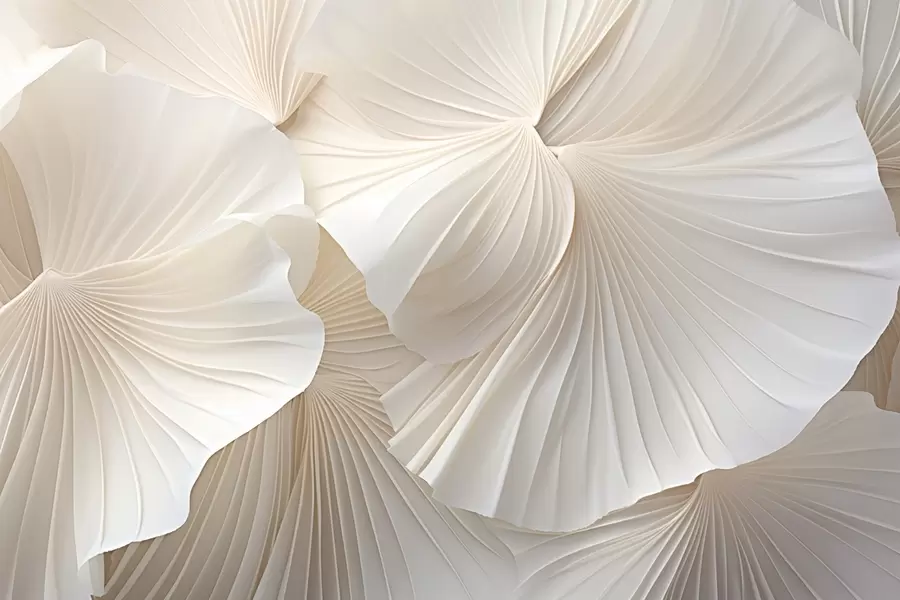 zidne murale latice, cvijeće, bijela, krema, tekstura, nježnost, ukrasne w04216