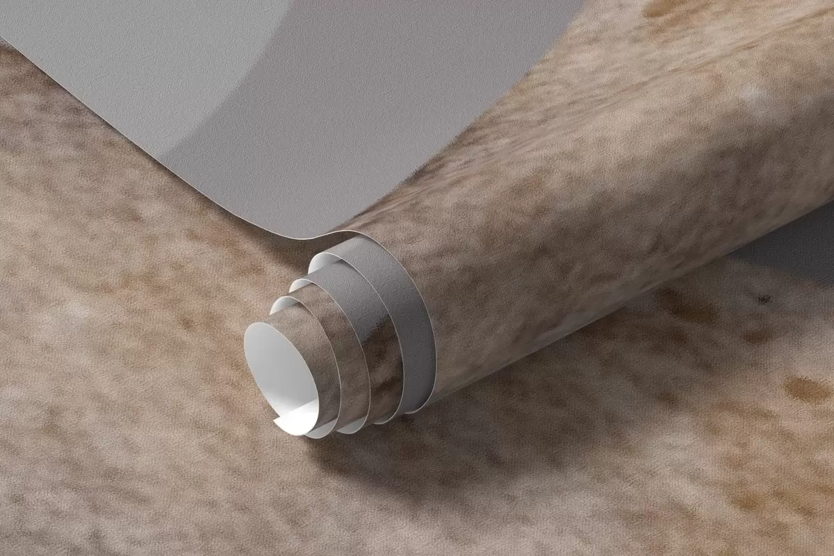 zidne murale Kit i baloni na vrući zrak među mekim oblacima w04522