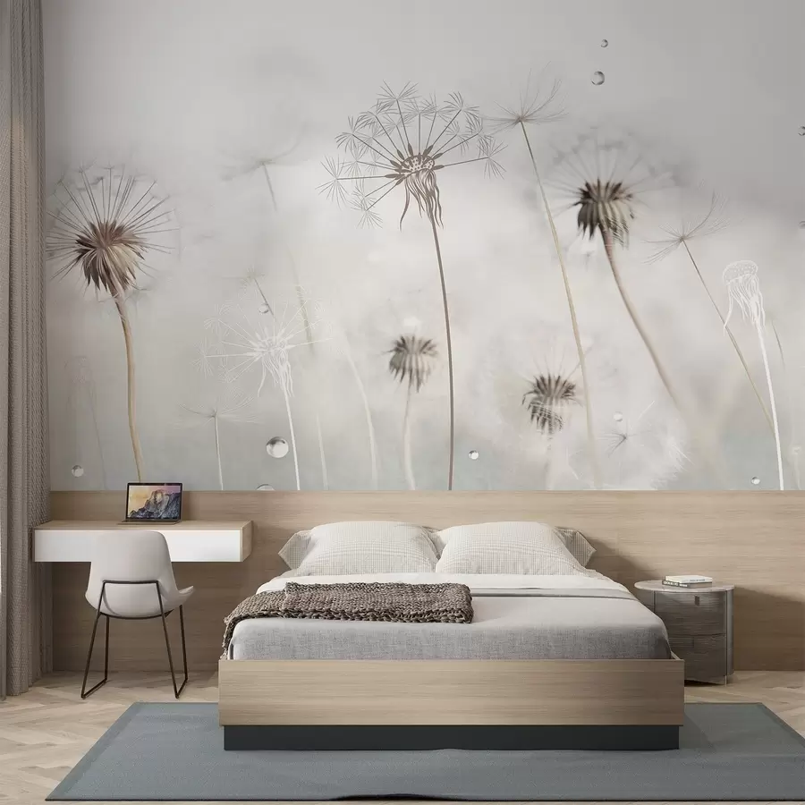 zidne murale Maslačci s kapljicama vode, bijela pozadina, izbliza, meko svjetlo, priroda, botanički, eterično, nježno, minimalističko w09399