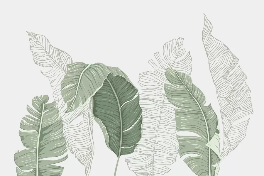 zidne murale Lišće w04895