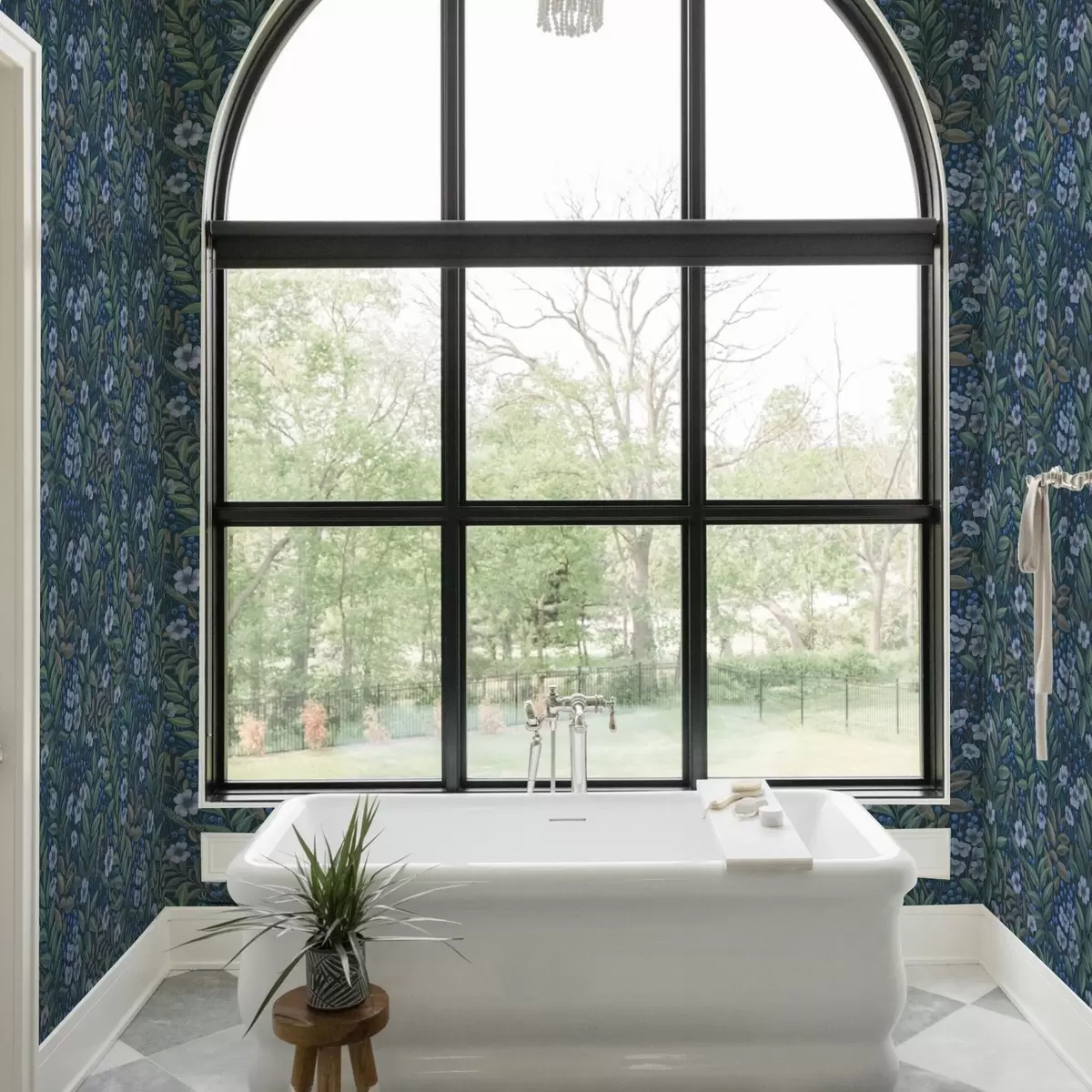 Pozadina Ponoćno plave bobice i bijeli cvjetovi u gustom lišću a00994