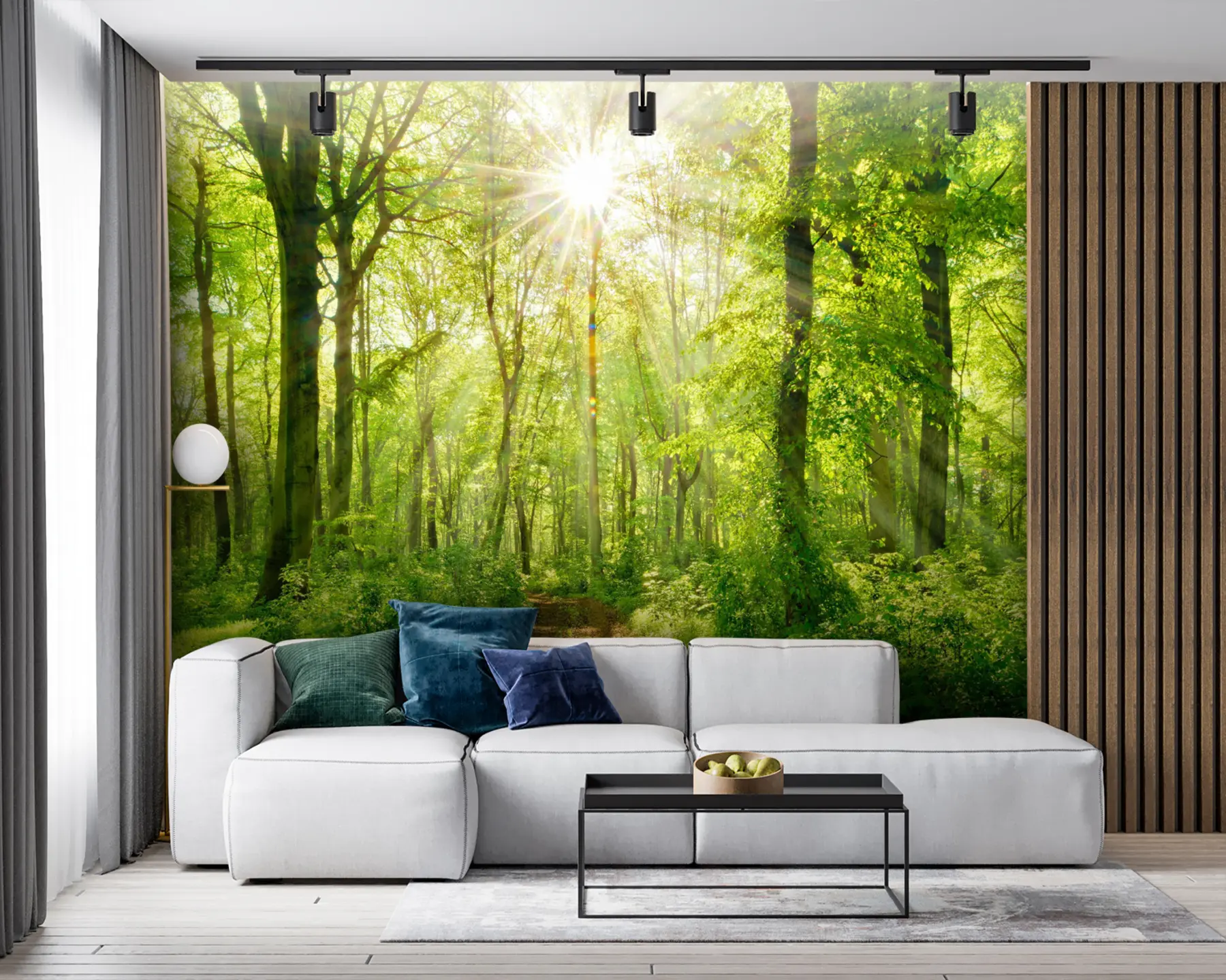 zidne murale Staza u sunčanoj šumi u22252