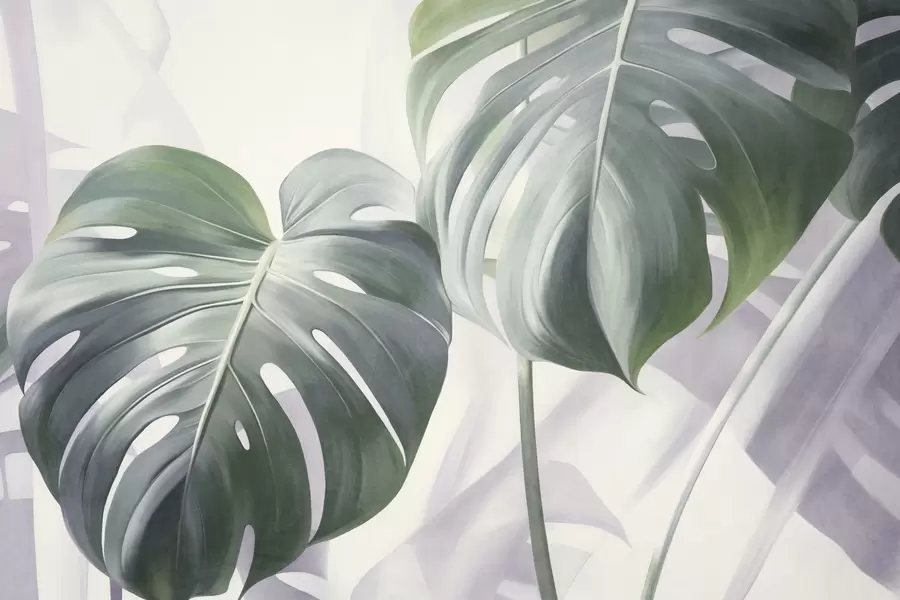 zidne murale Teksturirani listovi monstere, veliki i zeleni, na mekoj, svijetloj apstraktnoj pozadini w09477
