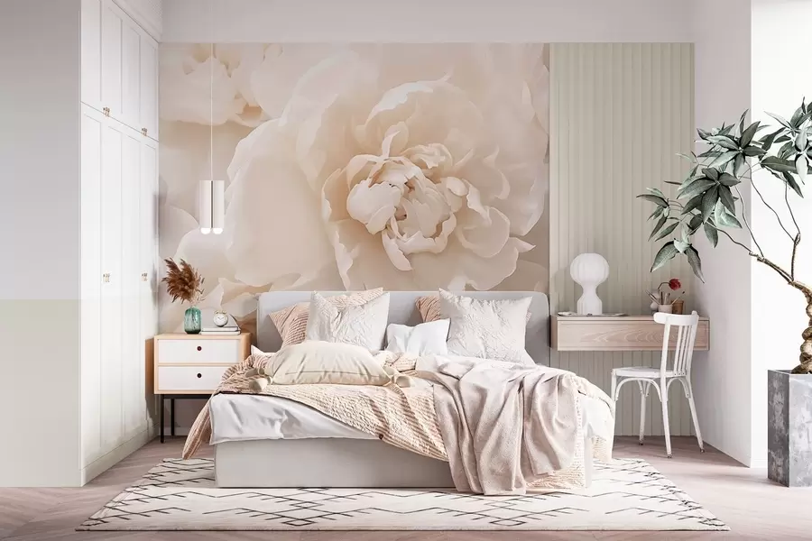 zidne murale Božuri w05078