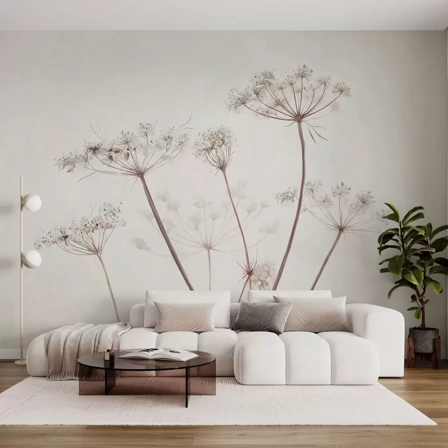 zidne murale Suhi štitasti cvjetovi na svijetloj minimalnoj pozadini w05543