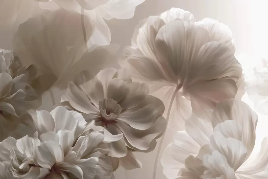 zidne murale Apstraktne kremaste latice magnolije w09937