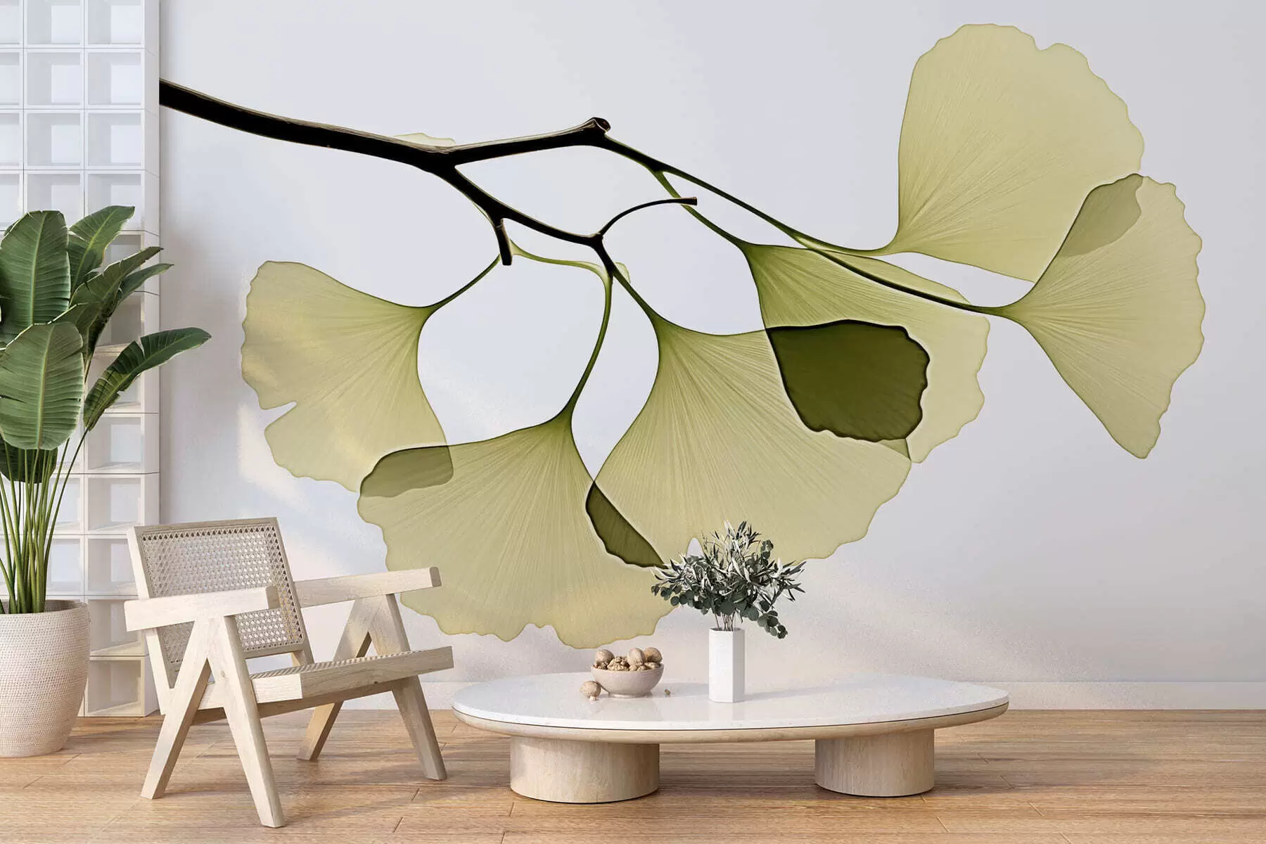 zidne murale Listovi ginka lepeze w09968