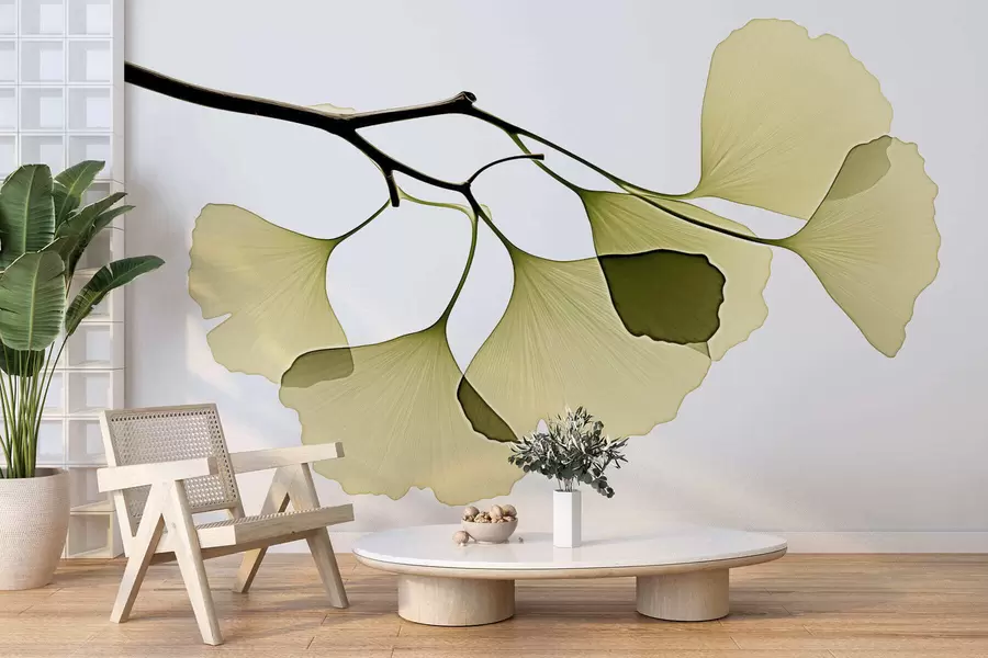 zidne murale Listovi ginka lepeze w09968