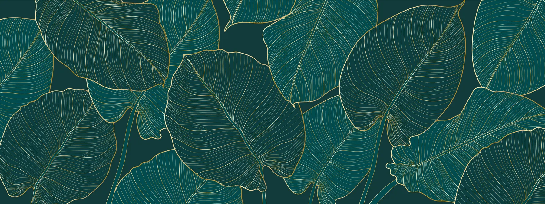 zidne murale Filodendron u73653