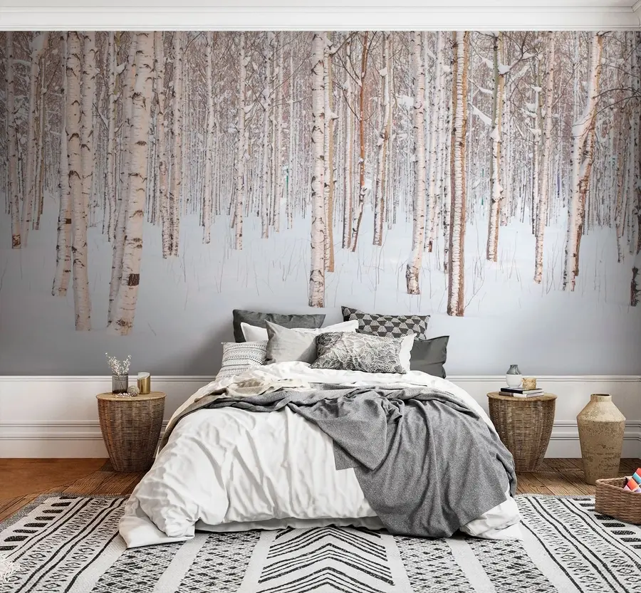 zidne murale Brezova šuma u snijegu u74232