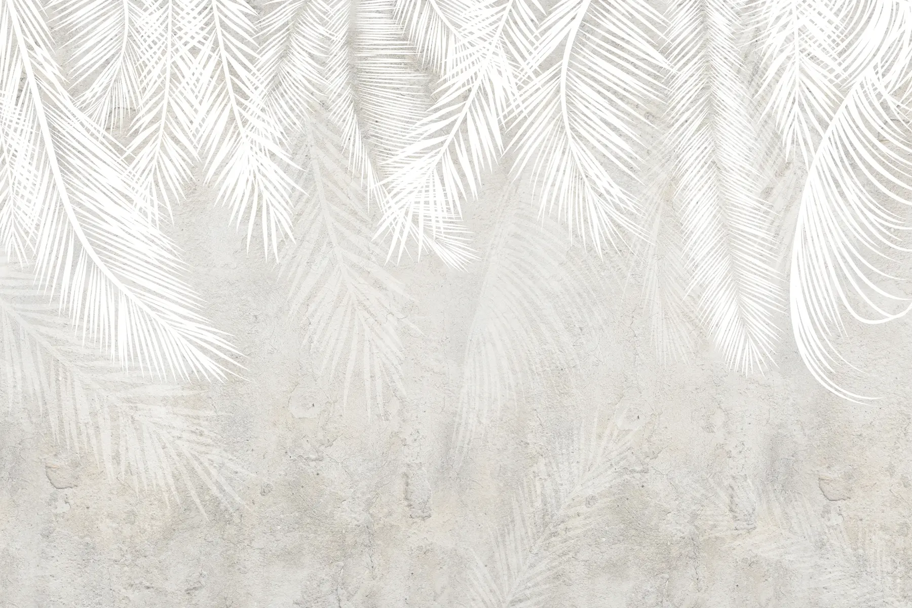 zidne murale Bijelo krhko lišće palme s grunge teksturom u94286