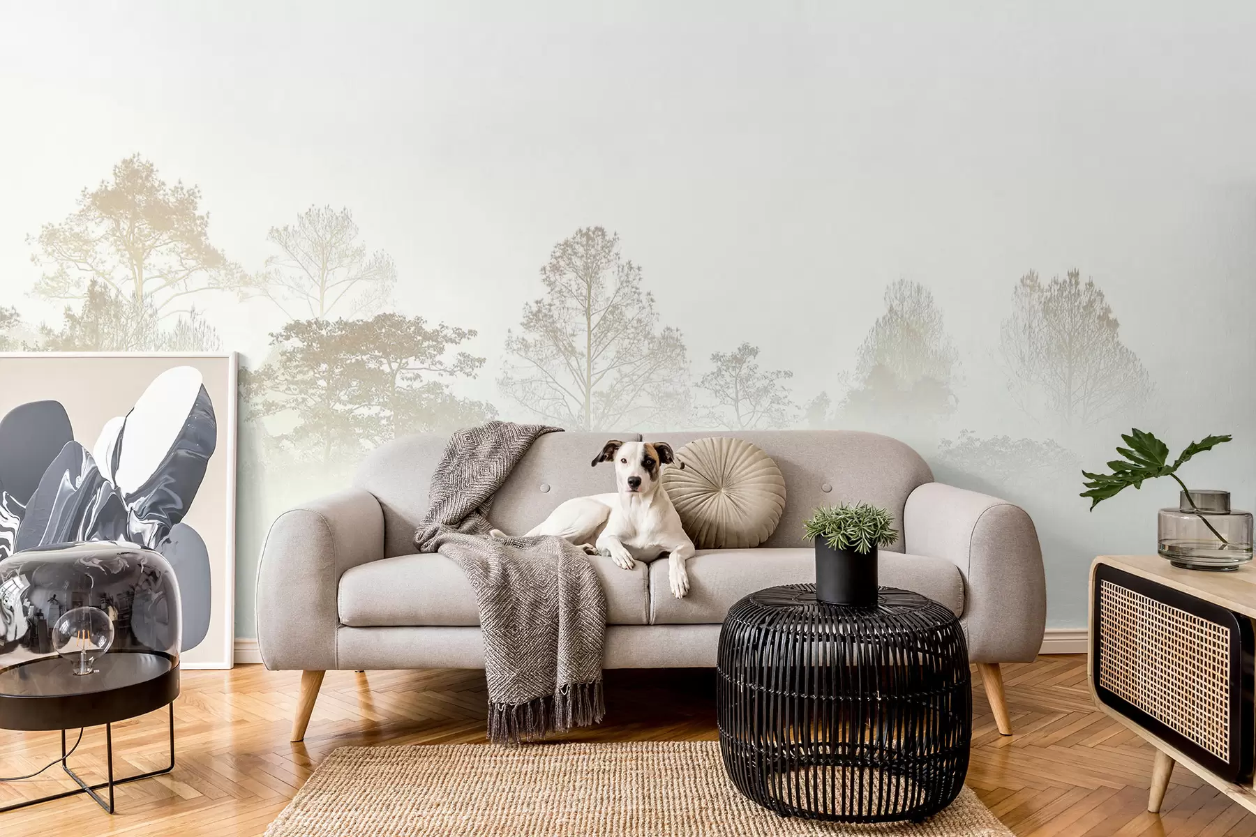 zidne murale Silueta šumarka u gustoj bijeloj jutarnjoj magli u97405