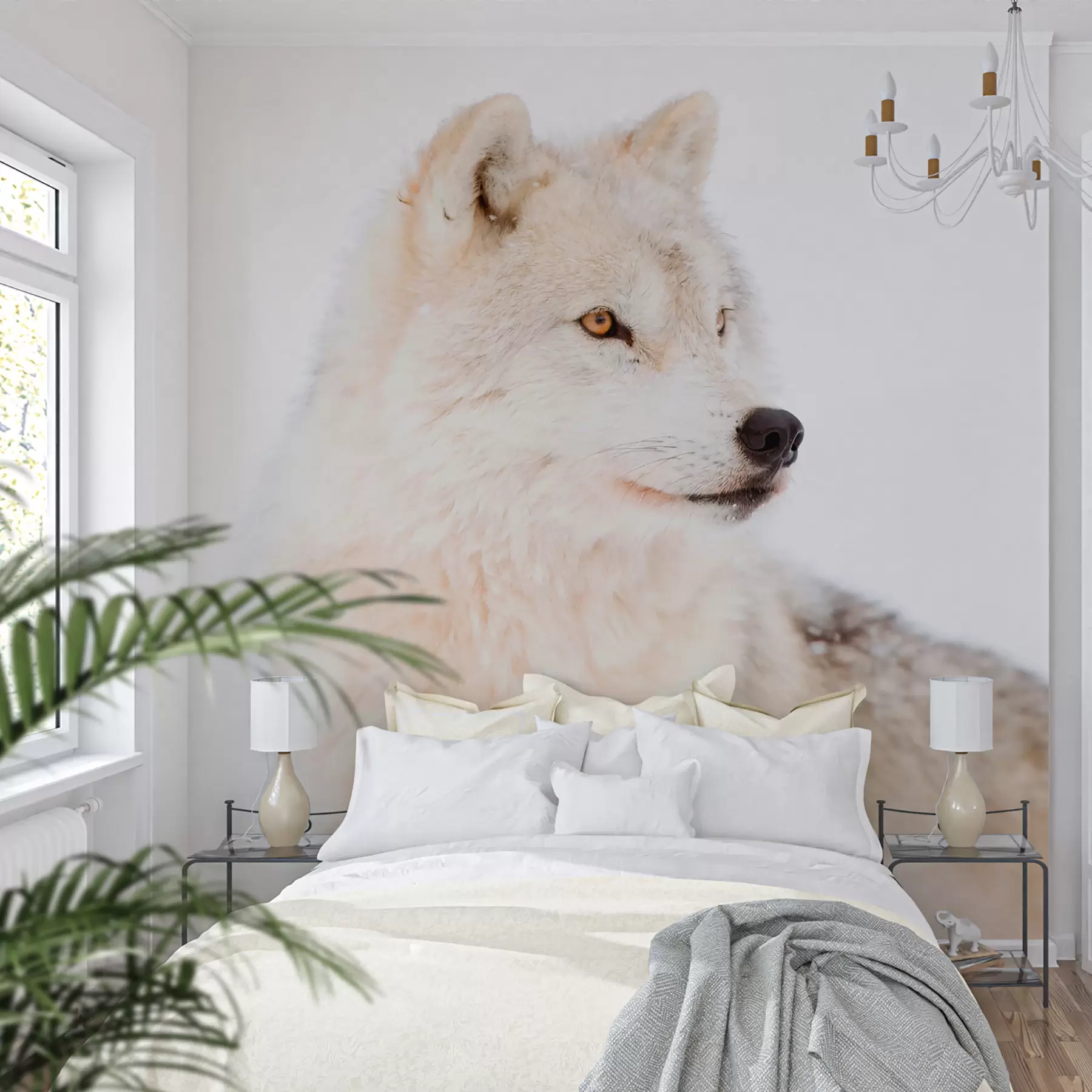 zidne murale Arktički vuk na bijeloj pozadini u98189