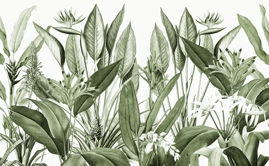 zidne murale Tropske biljke zelene boje džungle u96833v2